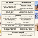 Ludovia 2011 : Tous nomades ?