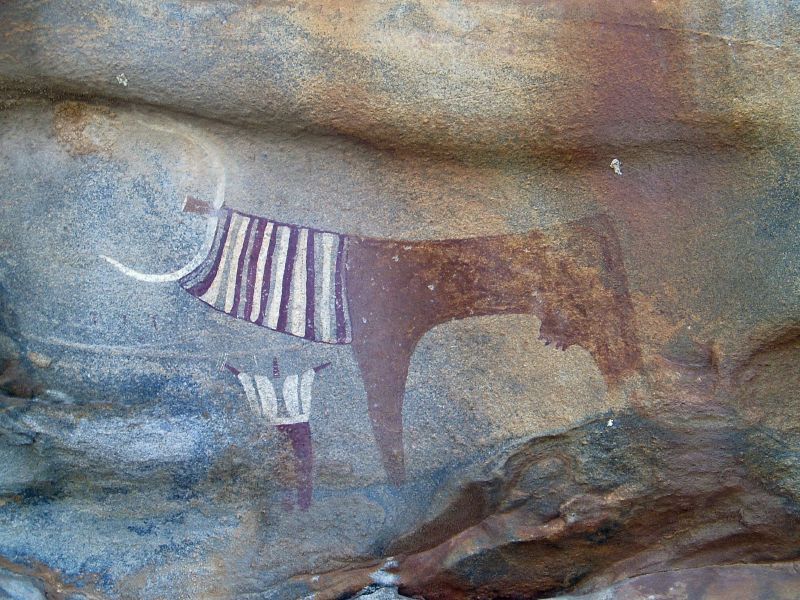 Art rupestre de "Laas Geel Somaliland"• Crédits : © Xavier Gutherz
